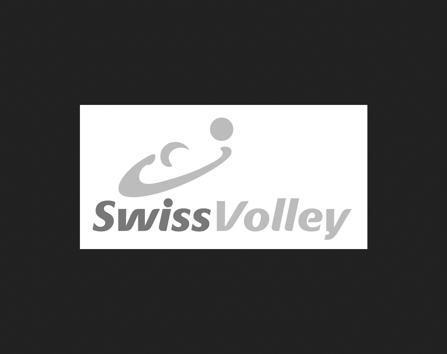 Swiss Volley Zürich
